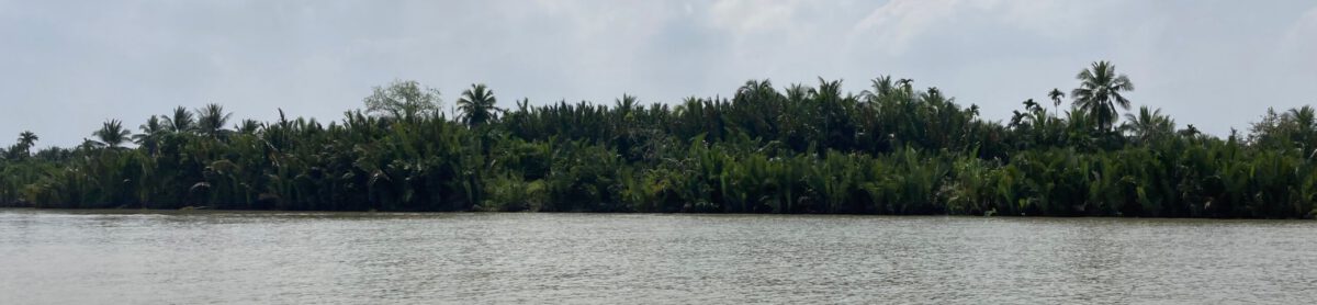 strategieKONTOR stefan elsing